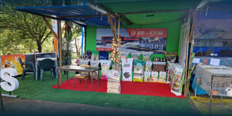 Gondifelos Recebe Rainha D’Agosto