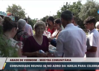 ABADE DE VERMOIM: Padroeira Senhora da Abadia