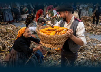 Famalicão: Tradição das colheitas