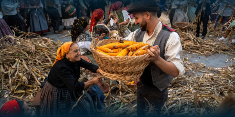 Famalicão: Tradição das colheitas