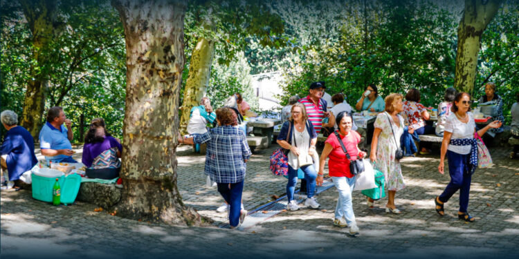 Vilaverdenses em passeio convívio