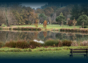 Famalicão Põe o Dedo na Ferida