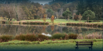 Famalicão Põe o Dedo na Ferida