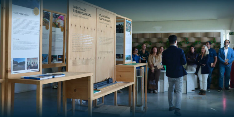 Ave Social Hub lançado em Guimarães