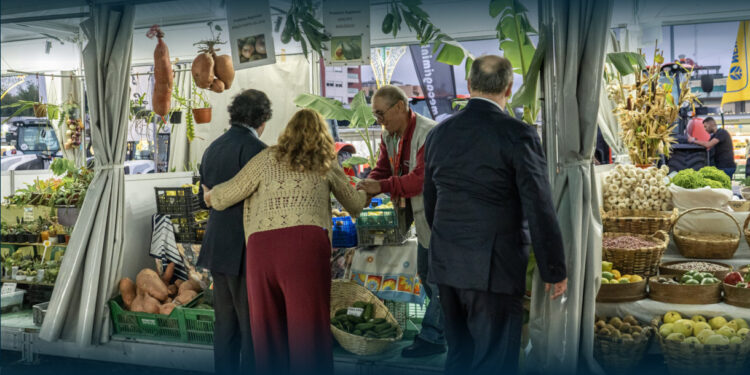 VILA VERDE: Festa das Colheitas