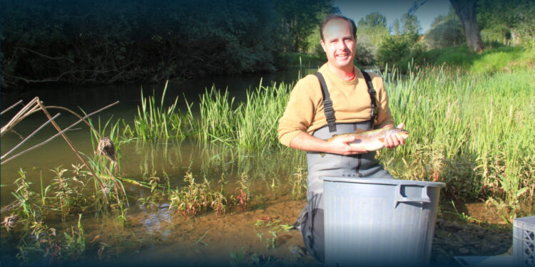 Investigador Dispara o Alarme