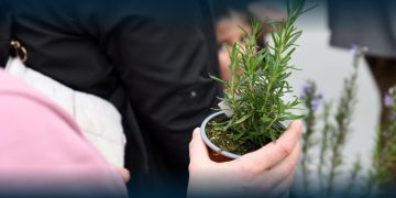 Famalicenses Aderem em Grande Número