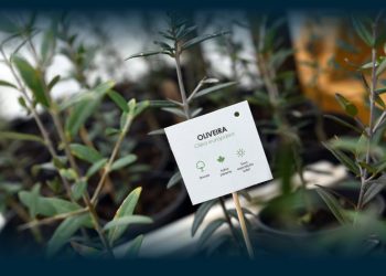 Famalicão Promove Mega Campanha