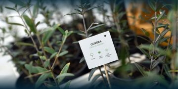 Famalicão Promove Mega Campanha