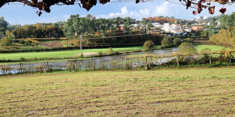 Mau Tempo em Famalicão