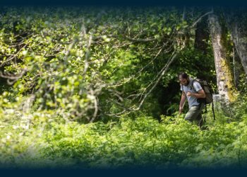 Caminhada do Ano Novo Santo Tirso