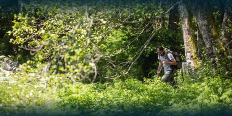 Caminhada do Ano Novo Santo Tirso