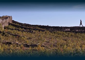 Exposição de Marcelo Moscheta