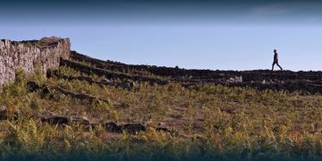 Exposição de Marcelo Moscheta