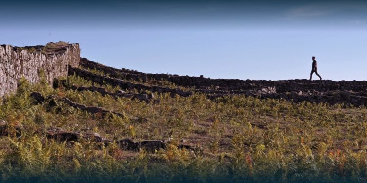 Exposição de Marcelo Moscheta