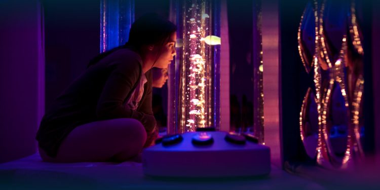 Apoio e Animação no Natal