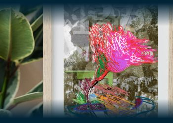 Serigrafia Histórica Ajuda Cuidadores