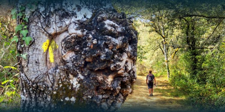 Caminho da Geira e dos Arrieiros