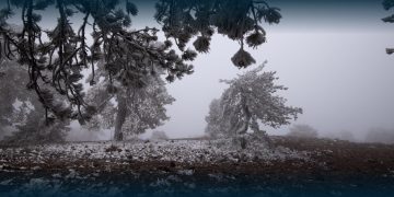 O Despertar de Inverno