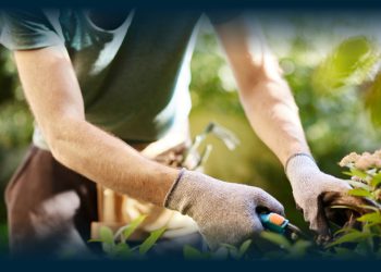 Risco Elevado de Cancro da Pele