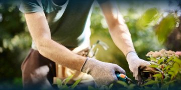 Risco Elevado de Cancro da Pele