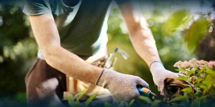 Risco Elevado de Cancro da Pele