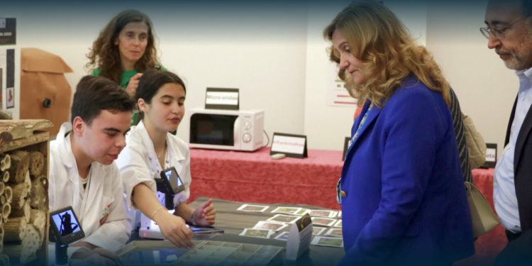 Vila Verde: VII Feira de Ciência & Tecnologia