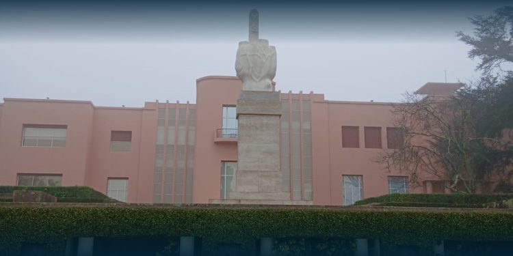 Serralves: a Fundação, a curadora-chefe e os jardins