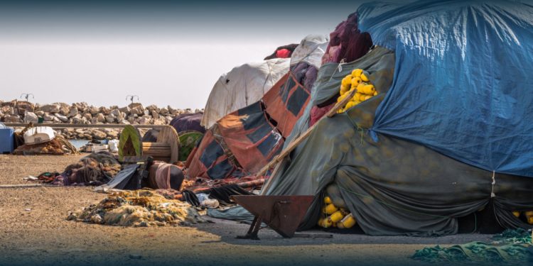 DIREITOS HUMANOS E CRISE GLOBAL