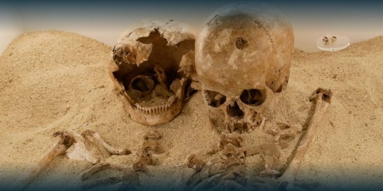 Investigação liderada pela Universidade de Coimbra