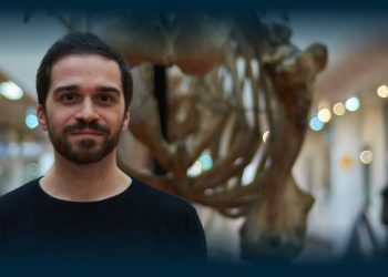 Investigação liderada pela Universidade de Coimbra