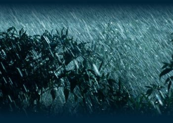 Meteorologia: Alerta de Mau Tempo Dia 6 (Sexta-feira)