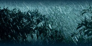 Meteorologia: Alerta de Mau Tempo Dia 6 (Sexta-feira)