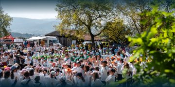 Espetáculo “A Árvore da Minha Avó”