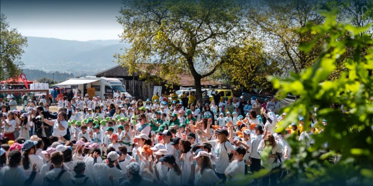 Espetáculo “A Árvore da Minha Avó”