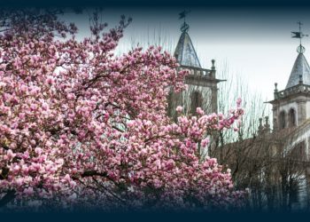 Santo Tirso celebra a chegada da nova estação