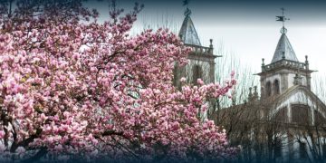 Santo Tirso celebra a chegada da nova estação