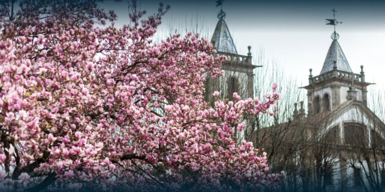 Santo Tirso celebra a chegada da nova estação