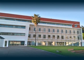 Cuidadores informais foram “peça-chave”