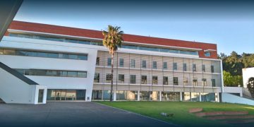 Cuidadores informais foram “peça-chave”