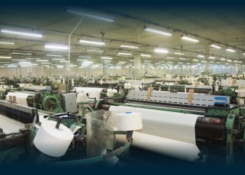 Paulo Cunha nomeado relator