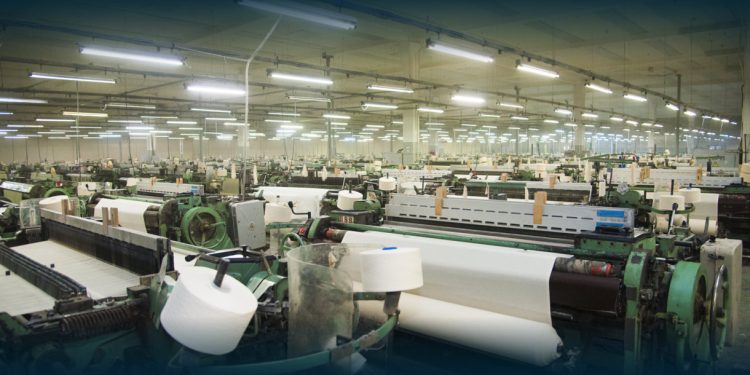 Paulo Cunha nomeado relator