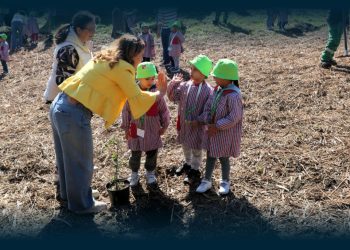 Vila Verde planta futuro