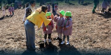 Vila Verde planta futuro