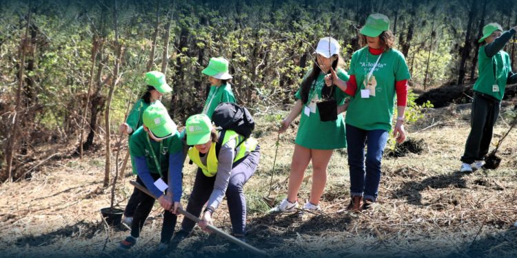 Vila Verde planta futuro