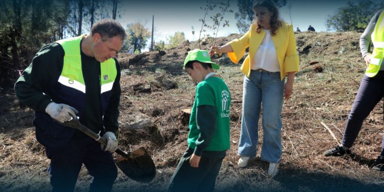 Vila Verde planta futuro