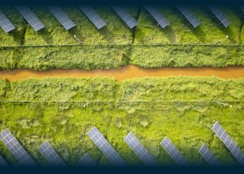 Alerta para “Crime Ambiental” em Outiz