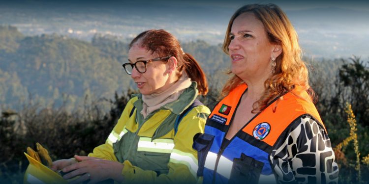 Vila Verde: Fogo controlado em pontos estratégicos