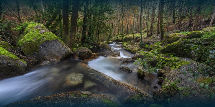 Santo Tirso une-se à “Hora do Planeta”