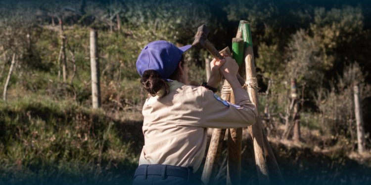 Kimball 2026: A Grande Jornada dos Exploradores